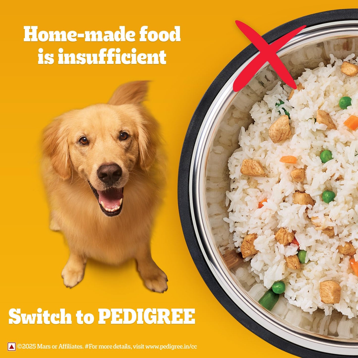 Pedigree Adult Dry Dog Food, Chicken & Vegetables, 1.2 kg, Contains 37 Essential Nutrients, 100% Complete & Balanced Food for Adult Dogs