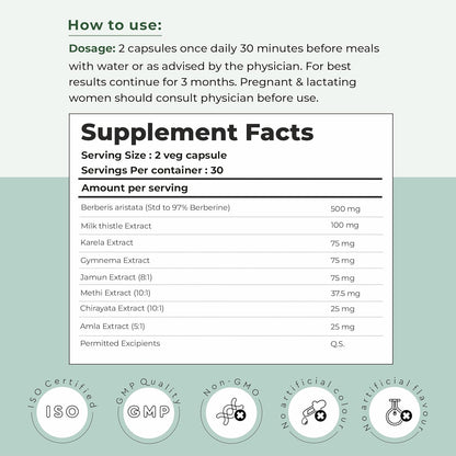 Cureveda Berberine 97% with Milk Thistle & Gymnema | Clinically Tested Gluco Guide Blend For Glucose Control | Supports Weight Management and Glucose Level - 913mg Per Serving - 60 Capsules