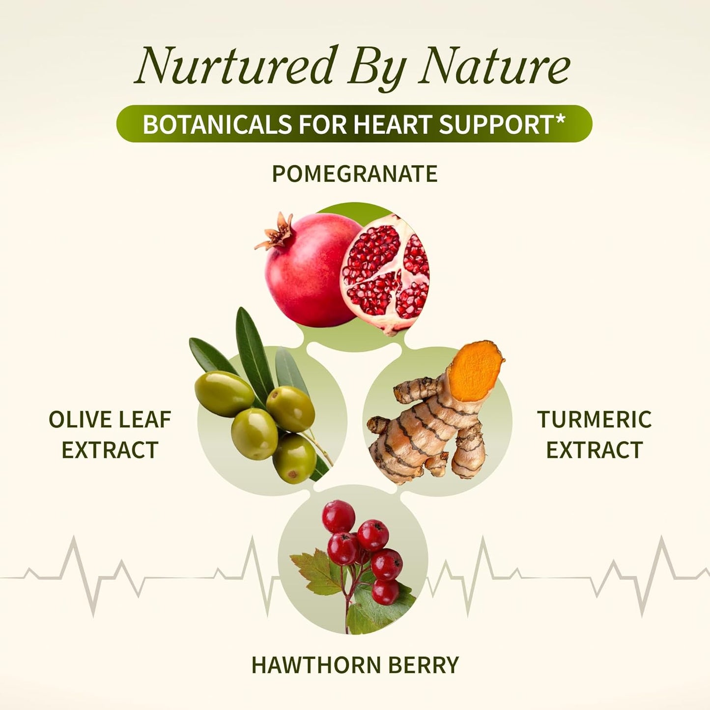 Snap Supplements Heart Health Support Supplement - Botanical Support for Heart Health, Healthy Circulation, and Nitric Oxide Levels, 30-Day Supply, 90 Capsules (Packaging May Vary)
