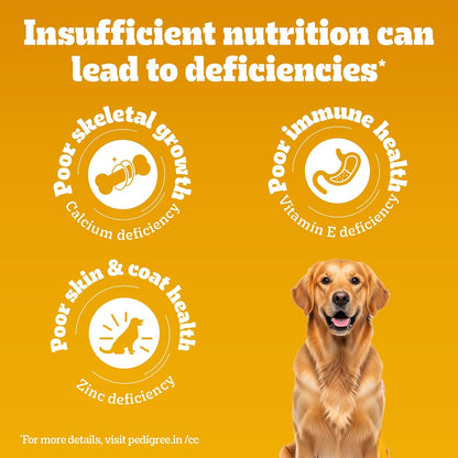 Pedigree Adult & Puppy Dry Dog Food, 100% Vegetarian, 1 kg, Contains 37 Essential Nutrients, 100% Complete & Balanced Food for Adult Dogs