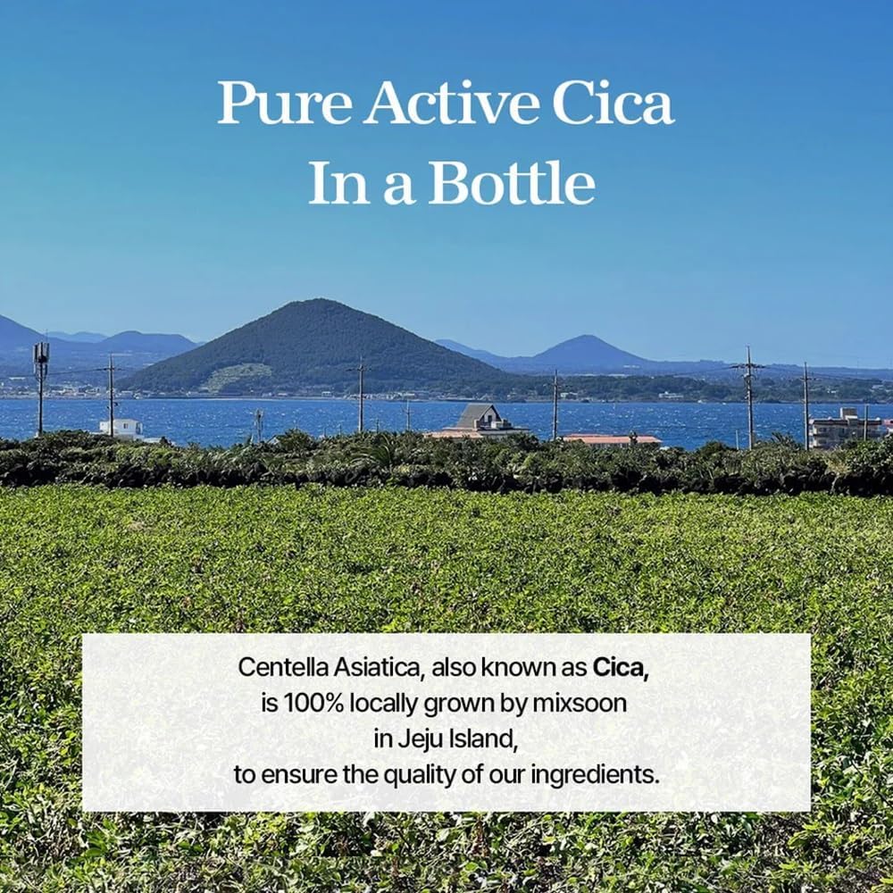 mixsoon Soondy Centella Asiatica Essence â€“ Travel-Friendly Calming Essence 50ml