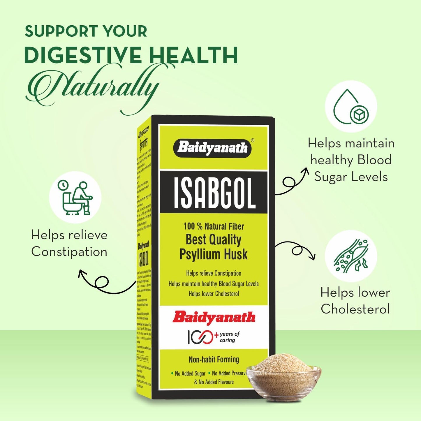 Baidyanath Asli Ayurved Isabgol 100 gm - Psyllium Husk Powder| Boosts Digestion | Constipation Relief Naturally | Rich Source Of Dietary Fiber Supplement