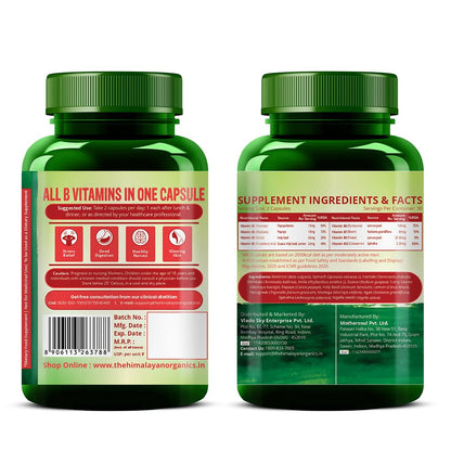 Vlado's Himalayan Organics Plant Based Vitamin B12 Supplement | B1,B2,B3,B5,B6,B7,B9,Moringa| Boost Energy Level | For Memory, Brain, Heart & Nervous System Support | B12 supplement for Men & Women - 120 Veg Capsules