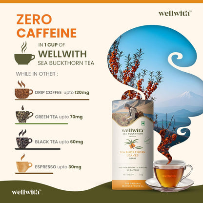 Wellwith by Ayuzera Sea Buckthorn Raw Leaves Tea, Good For Skin and Immunity, For a Healthy Lifestyle - Himalayan Seabuckthorn Herbal Leaf Tea - Pure & Natural (50g)