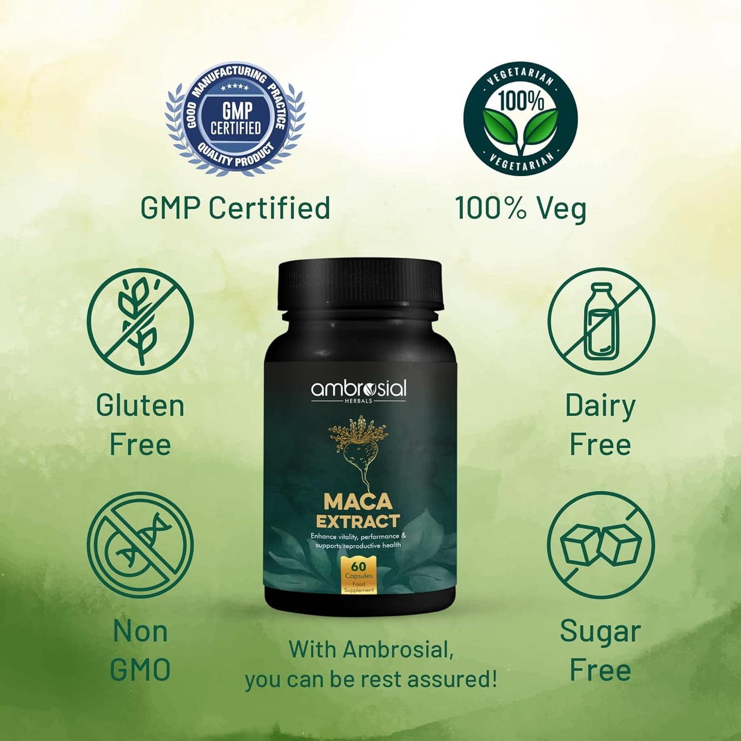 Ambrosial Maca Root Capsules for Men & Women | High Strength 500 mg Maca Root Powder EACH Capsule | Supports Building Stamina & Energy (Pack of 1-60 Capsules)