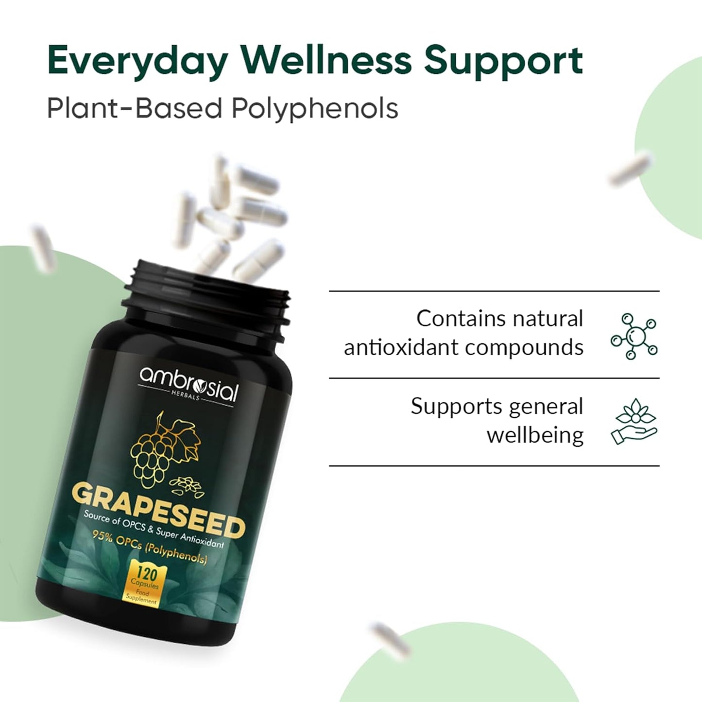 Ambrosial Grape Seed Extract Capsules | 95% OPCs Polyphenols | High Strength Grape Seed Supplement | Strong Antioxidant | Pack of 1-120 Vegan Capsules