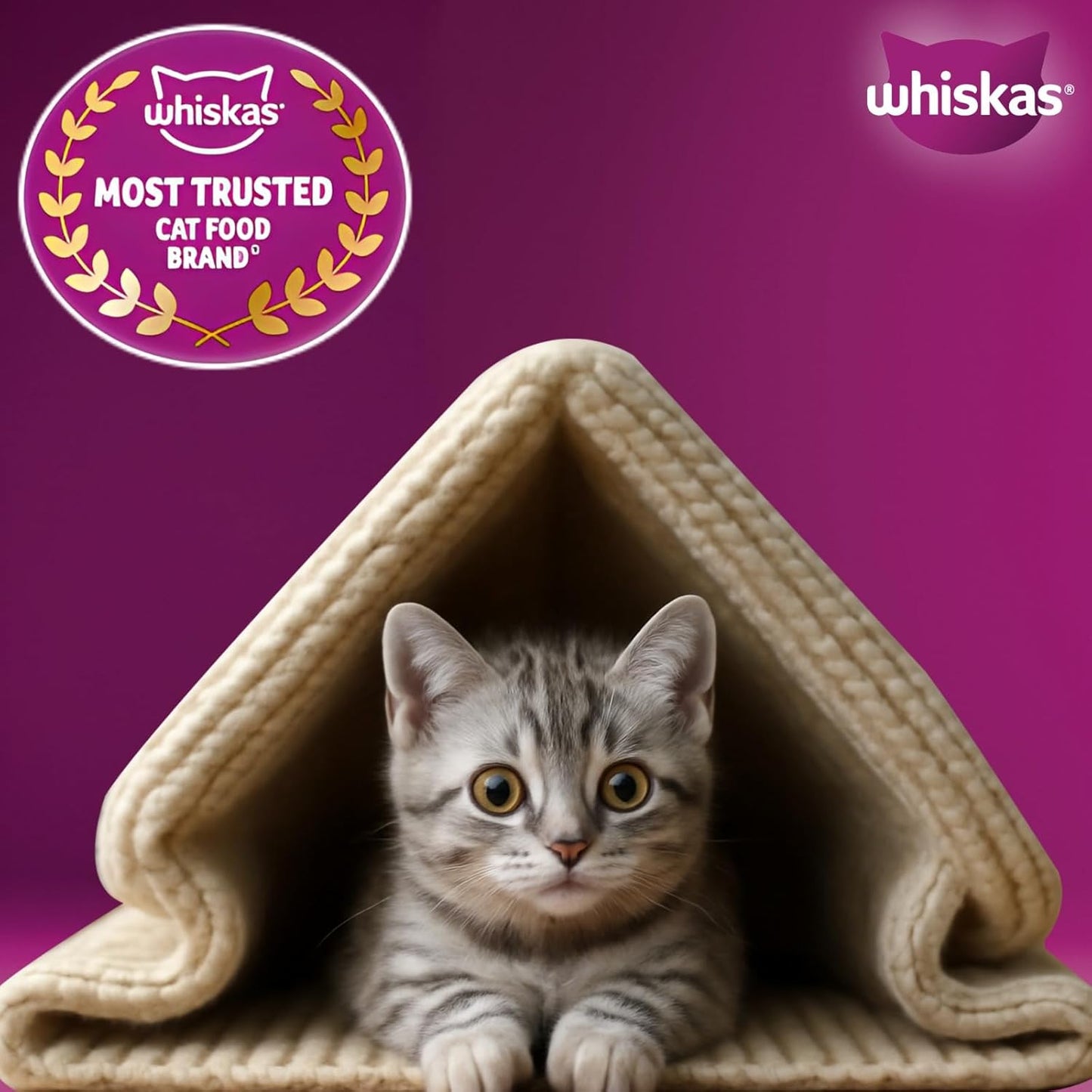 Whiskas Junior Mother Cat & Kitten (2-12 Months) Dry Cat Food, Ocean Fish Flavour, 1.1 kg, Contains 41 Essential Nutrients, Complete & Balanced Nutrition for Mother Cats & Kittens