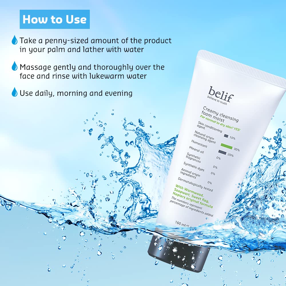 Belif Creamy Cleansing Foam 160ml