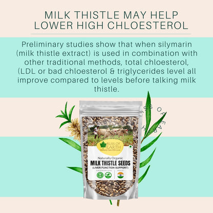 Bliss of Earth Milk Thistle Seeds Organic Super Food Great for Guts Health & Boost Immunity | Promotes Skin Health | High in Protein | 100GM