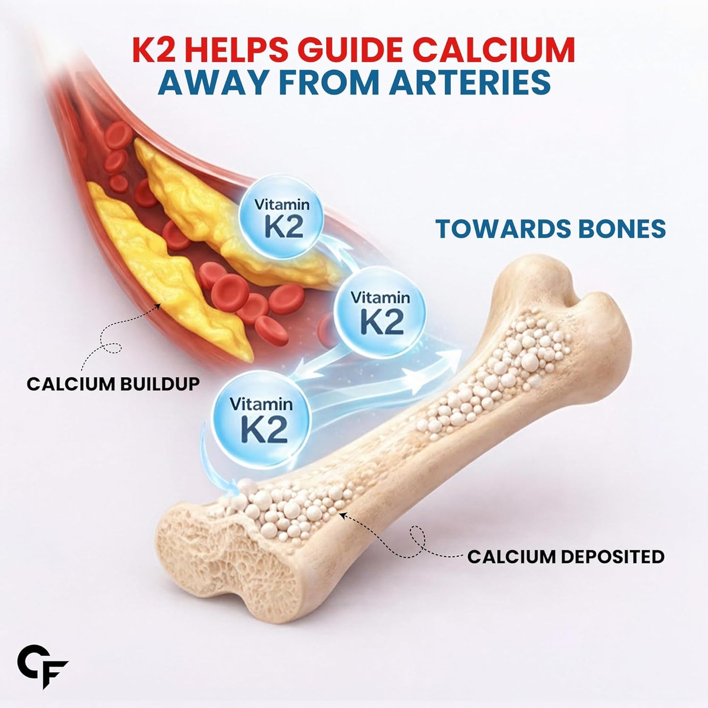 Carbamide Forte Vitamin K2 MK7 55 mcg | MK7 Form for Better Calcium Utilization | Vitamin K2 supplement to Support Strong Bones & Heart Health for Men & Women | 120 Vegetarian Tablets