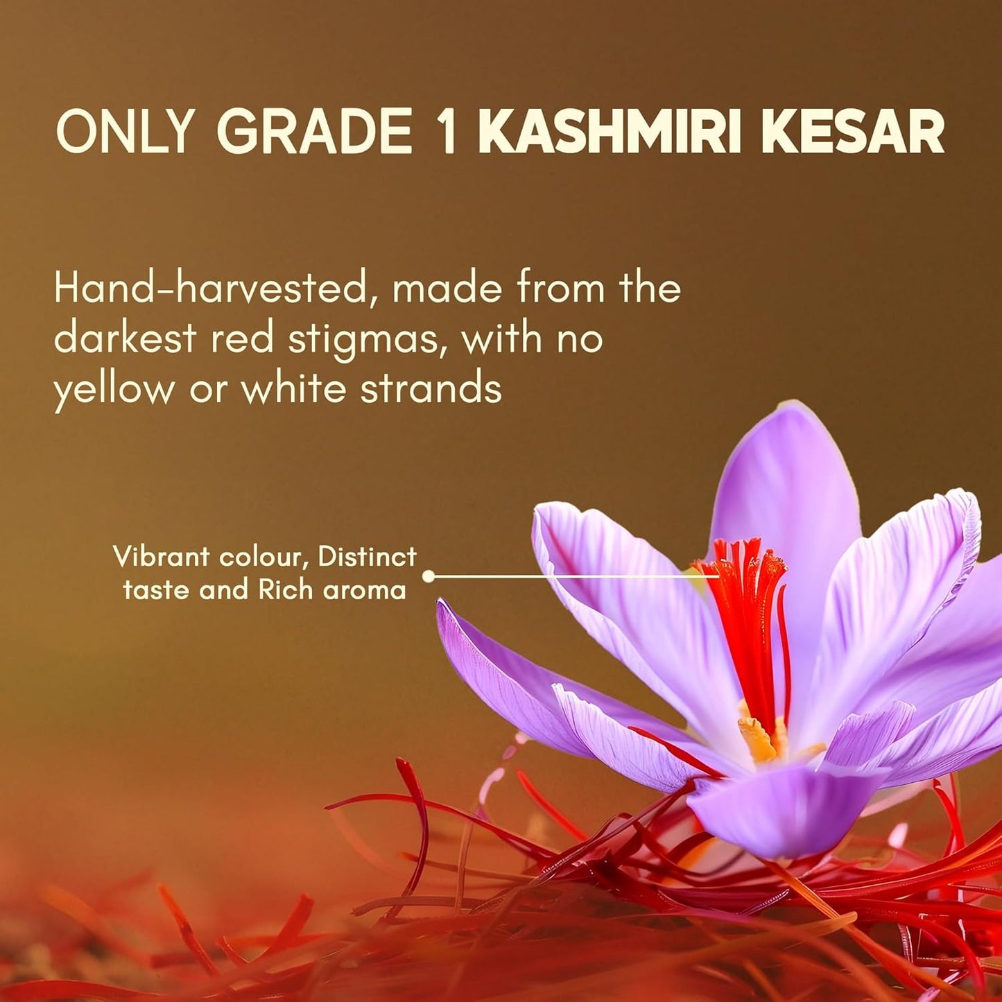 Rasayanam Pure Original Kashmiri Saffron/Kesar/Kumkuma Puvvu (1gm) | Certified highest Grade-A Keshar | Saffron for pregnant women, Pooja rituals & Food aroma