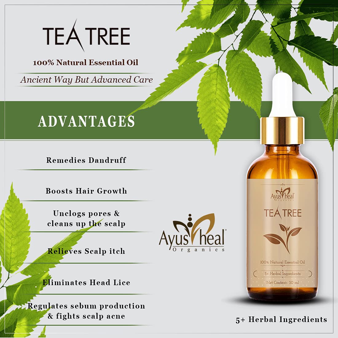 Tea Tree Essential Oil for Healthy Skin, Face, and Hair 100% Organic Remedy for Dandruff, Acne, Stress, Pure & Natural 30 ML (Tea Tree)