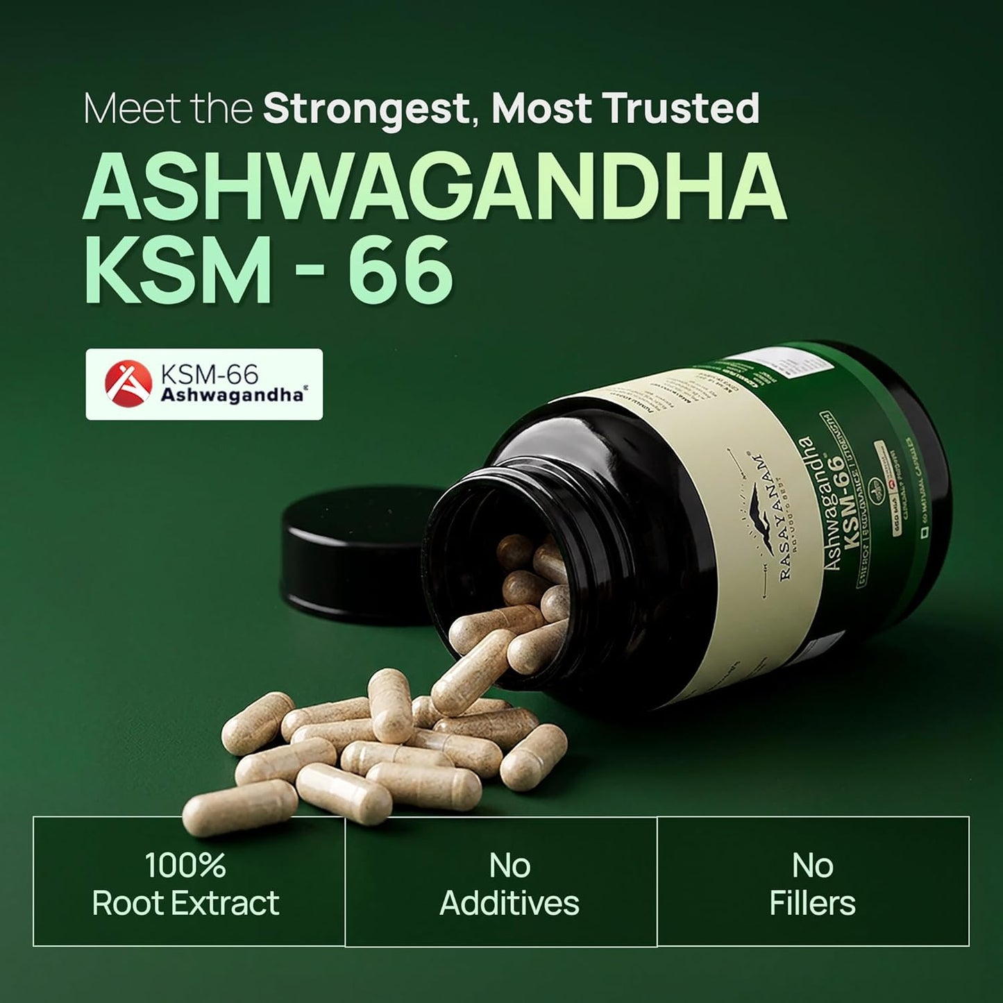 Rasayanam Ashwagandha KSM-66Â® | Clinically Proven 600mg Dosage | 5.1% Withanolides for Max Results | 100% Pure Root Extract | Stress Relief, Energy & Recovery Support | Worldâ€™s Strongest Ashwagandha | 60 Capsules