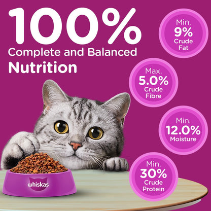 Whiskas Adult (1+ Years) Dry Cat Food, Ocean Fish Flavour, 480 g, Contains 41 Essential Nutrients, Complete & Balanced Nutrition for Adult Cats