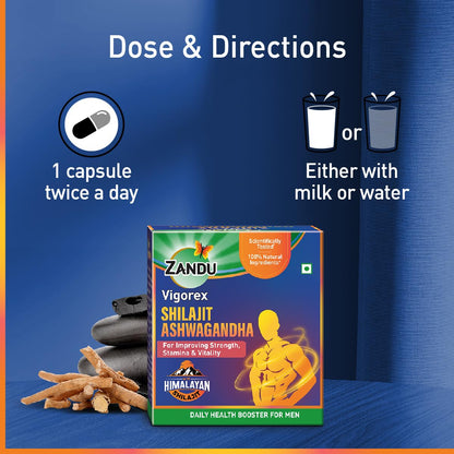 Zandu Vigorex Shilajit Ashwagandha Capsule