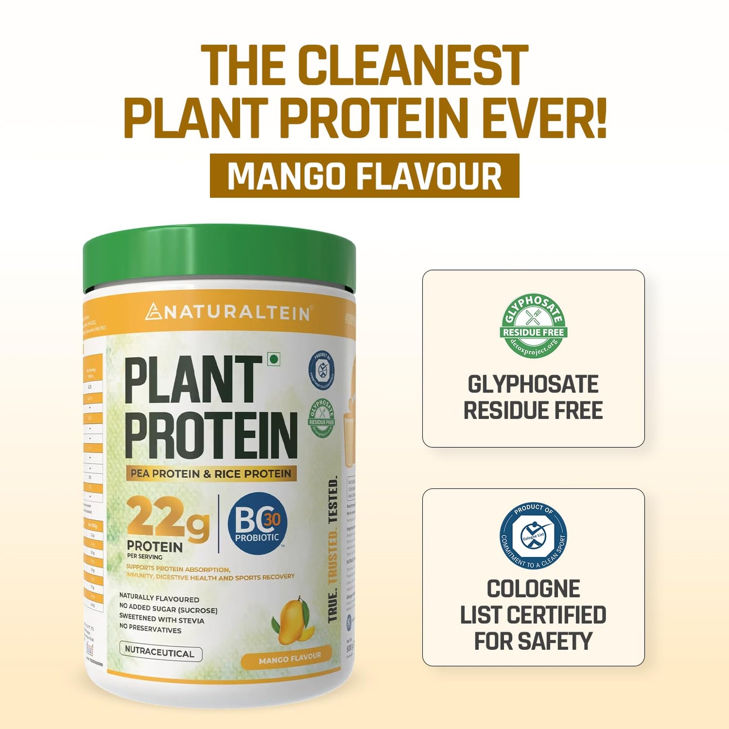 NATURALTEIN Plant Protein â€“ 22g Clean Protein with BC30 Probiotic | Trusted Natural Blend for Strength, Energy & Gut Health | Delicious Natural Mango flavour | No Sugar, Just Pure Wellness
