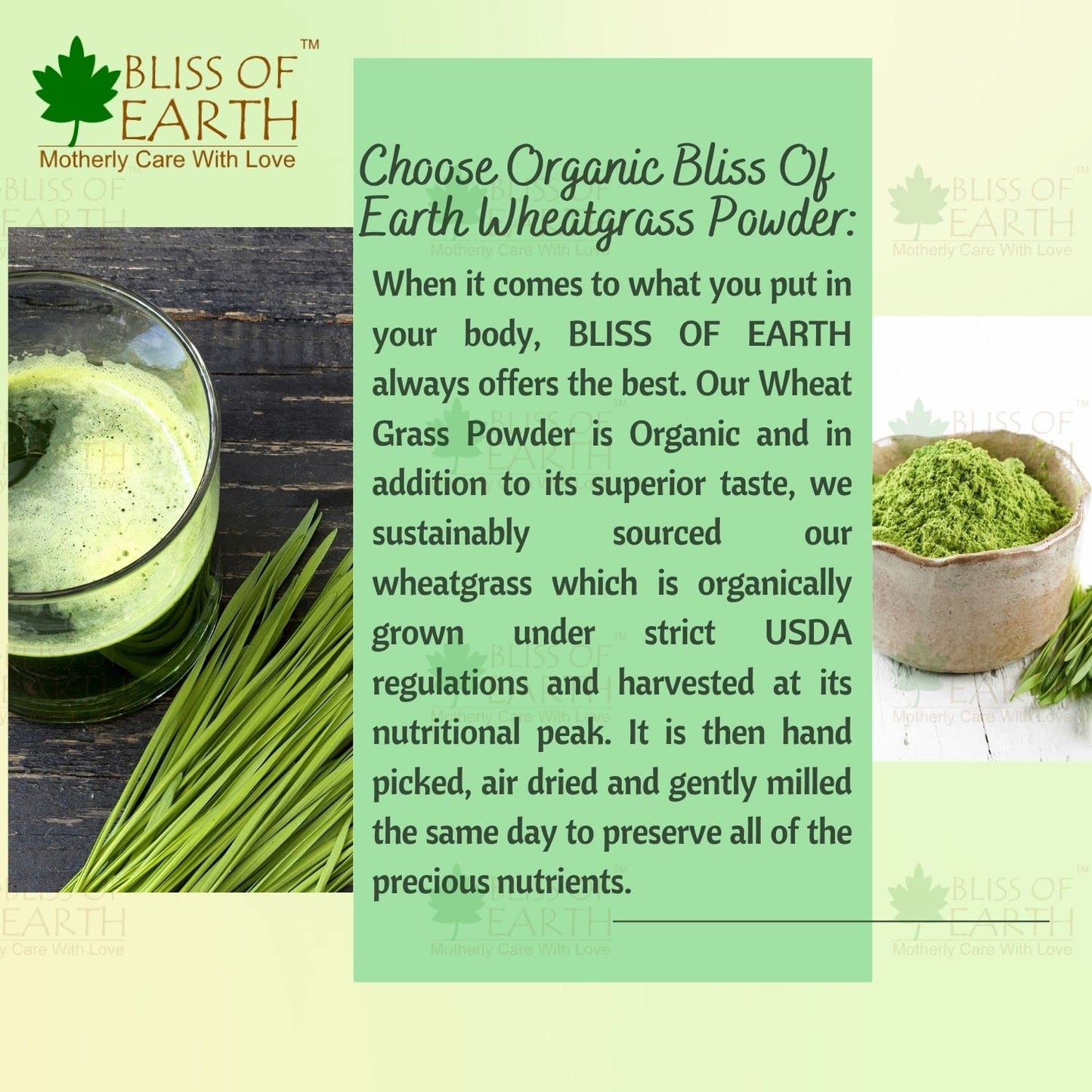 Bliss of Earth Organic Wheatgrass Powder 33 Servings Super food Dietary Supplement Rich in Vit A & B | Non GMO | Gluten Free 100 GM