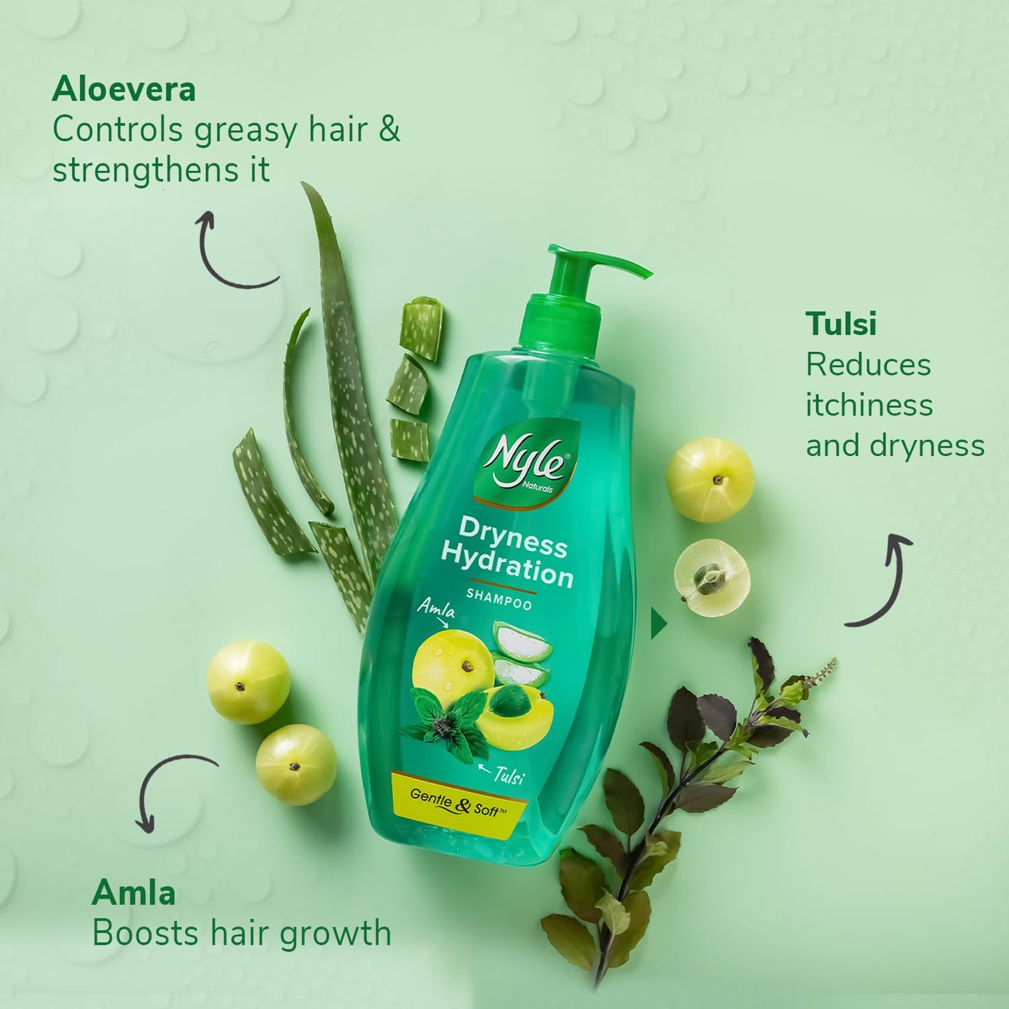 Nyle Naturals Dryness Hydration Shampoo, with Tulsi, Amla and Aloe Vera, Gentle & Soft Shampoo, pH Balanced and Paraben Free, For Men and Women,400ml