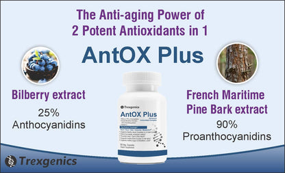 TrexgenicsÂ® ANTOX PLUS Bilberry 25% 200 mg, Pine bark 90% 200 mg & Vitamin C Advanced Antioxidant complex, Heart, Eyes, Skin, Immunity, Metabolism (60 Vcaps) (1)