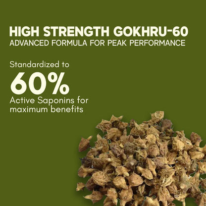 Rasayanam Gokshura Tablets 1000mg Gokhru per Serving, Highest Saponins 60%, Tribulus Terrestris for Men & Women | Improves Energy, Muscle Strength, Stamina & Supports Recovery - 60 Tablets