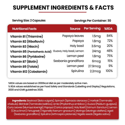 Vladoâ€™s Himalayan Organics Plant-Based Vitamin B12 with B-Complex & Moringa | Energy, Nerve & Brain Support | 60 Veg Capsules