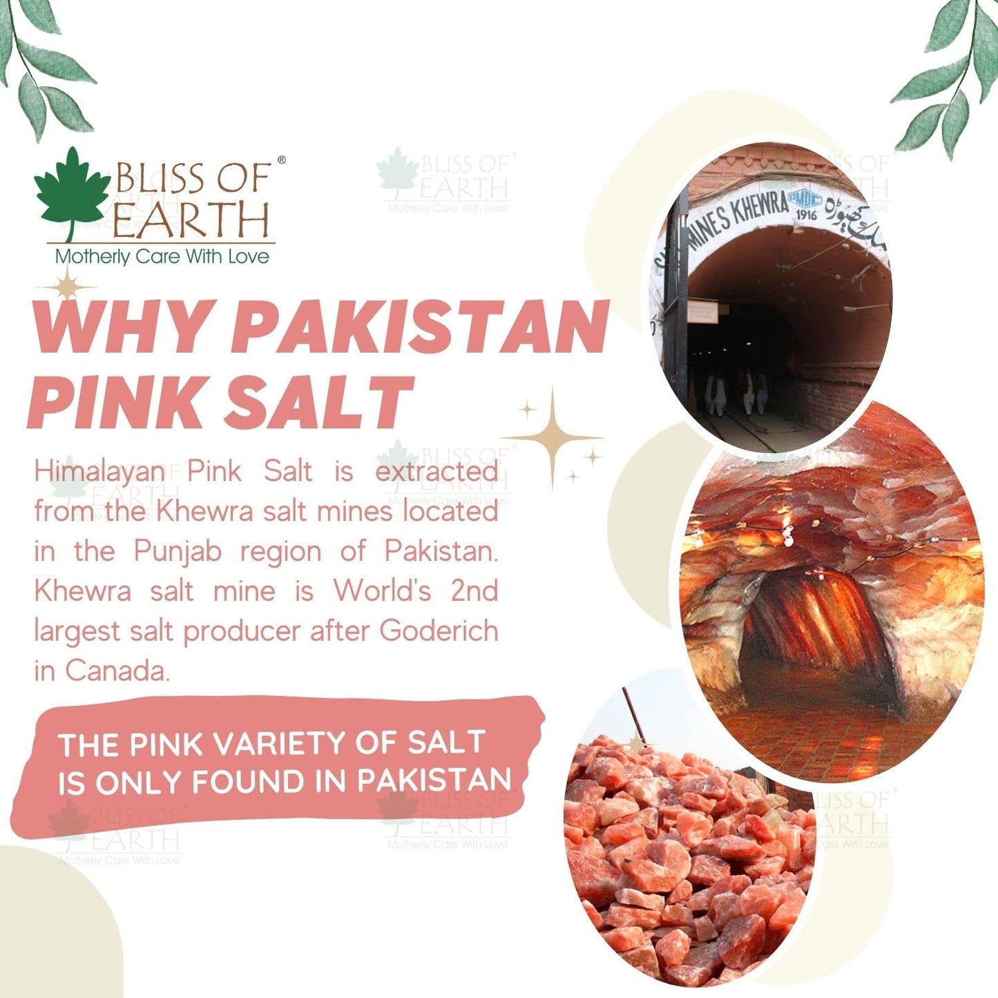 Bliss of Earth 1KG Pure Reguler Pakistani Himalayan Pink Salt Refill Pack Non Iodised for weight loss & Healthy Cooking, Natural Substitute of White Salt