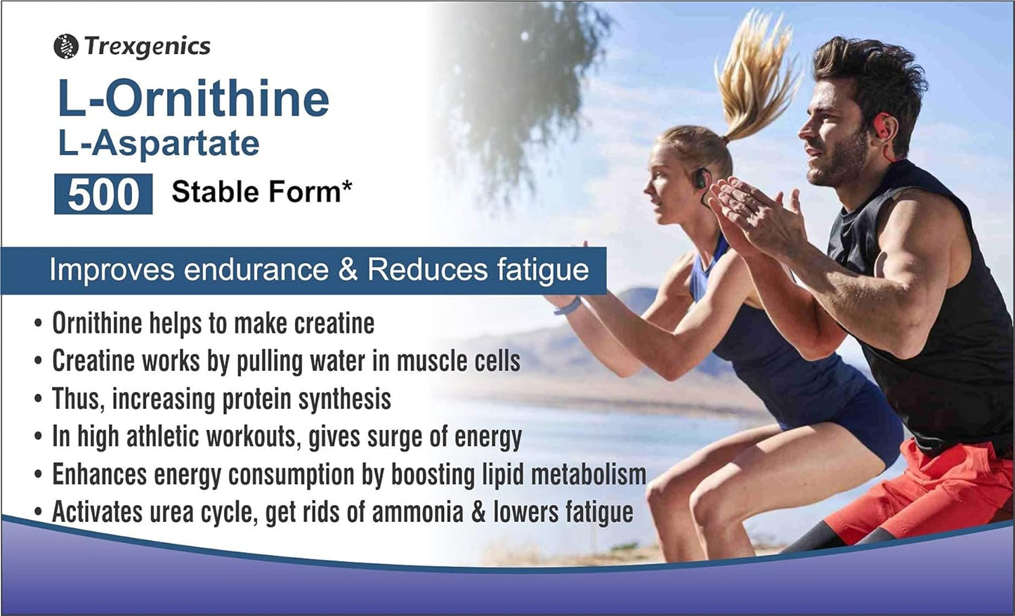 TrexgenicsÂ® L-ORNITHINE Stable form as L-Aspartate 500mg Urea Detox, Protein Metabolism, Liver Support (60 Vcaps) (1)