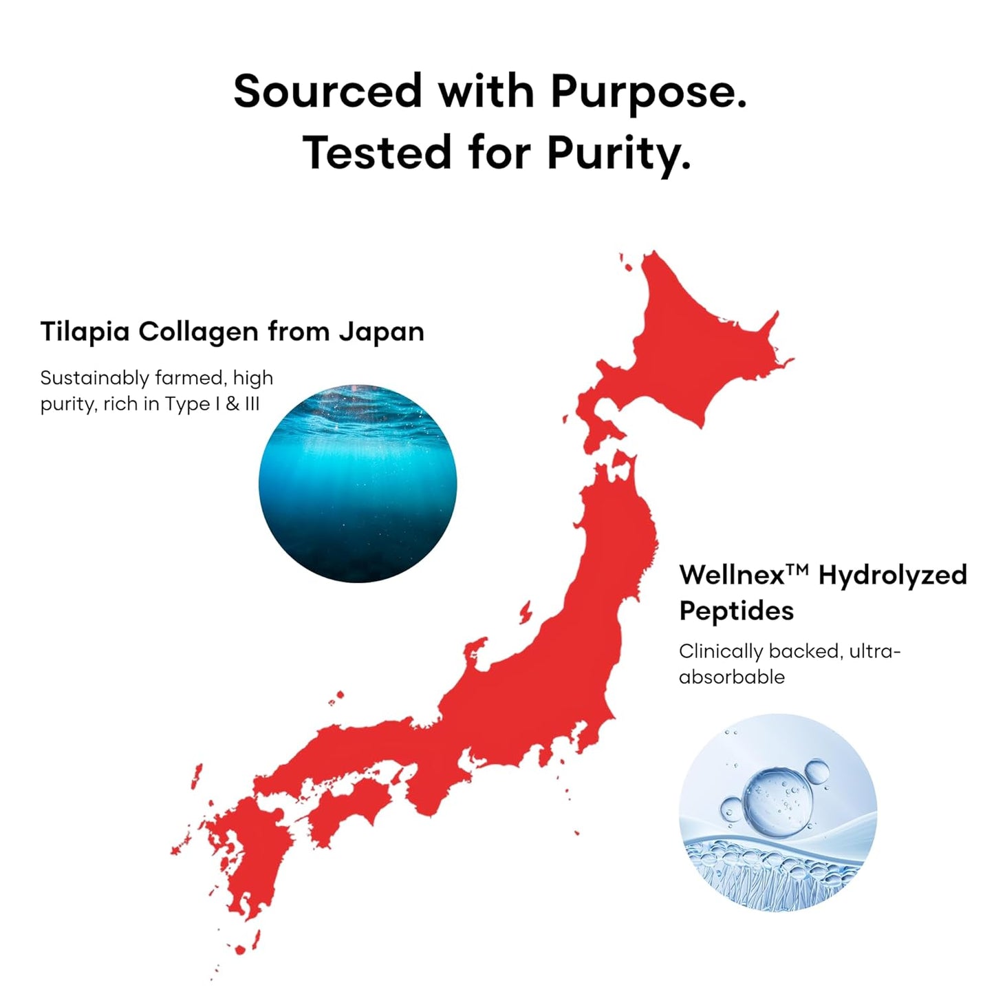 YourHappyLife Naked Japanese Marine Collagen Supplement Type 1 & 3 with Vitamin C for Men & Women|Skin, Joints, Hair & Nails|10000mg Hydrolyzed Peptides Fast Absorption|Pack of 1 (250 gm)-Unflavoured