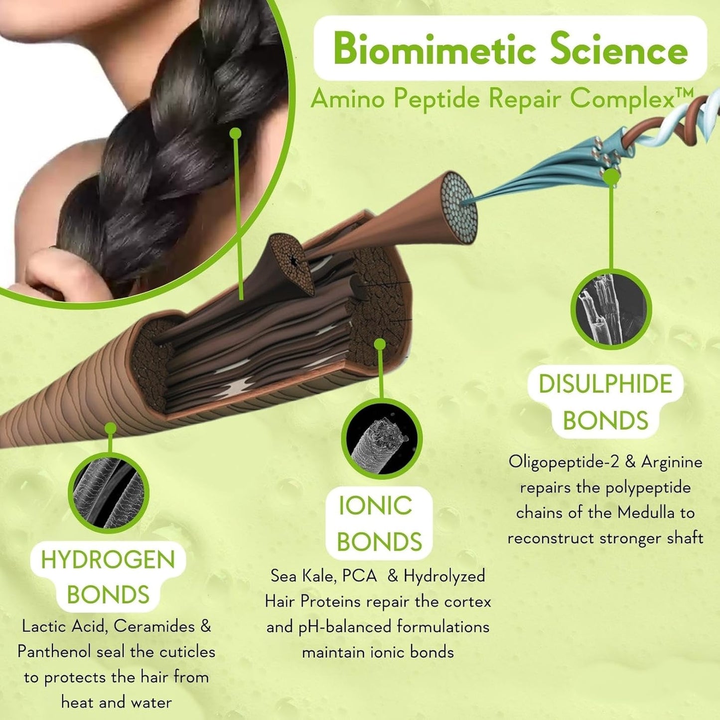 WishCare Triple Bond Repair Shampoo For Frizzy Hair & Dry Hair | Repairs Damaged & Frizzy Hair, Reduces Hair Breakage | With AminoPeptide Complex & PCA | For All Hair Types | 250ml