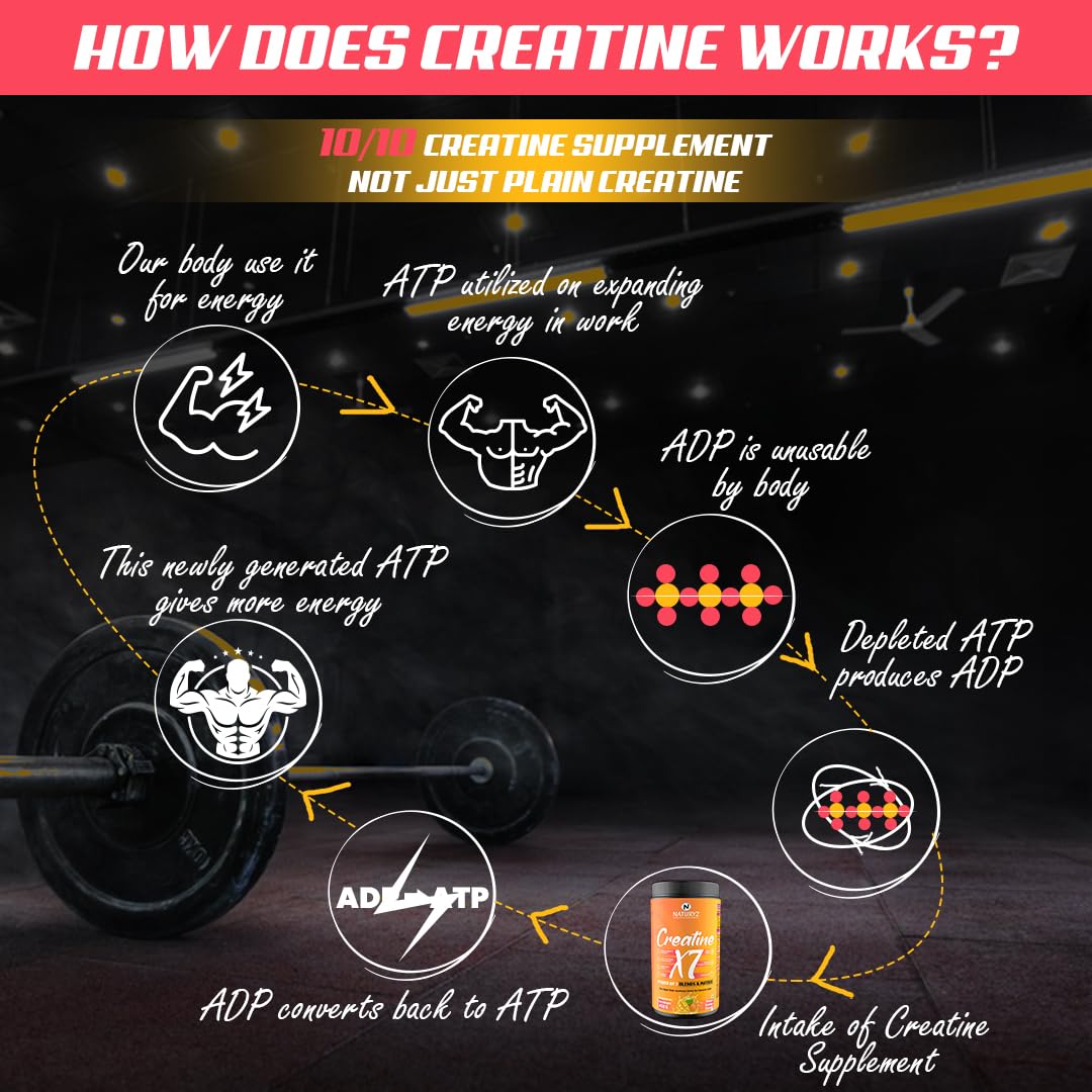 NATURYZ Creatine X7 Pure Micronized Creatine Monohydrate Post Workout drink | Rapid Absorption with Aminos | BCAA | ATP Transport Matrix | Muscle Growth & Strength | Power of 7 Blends | Muscle Builder- 450g(Mango Orange)