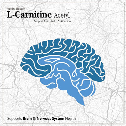 Vokin Biotech L-Carnitine Acetyl (ALCAR)- Support Brain Health- 500 mg â€“ 90 Capsules