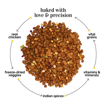 Henlo Baked Dry Dog Food for Adult Dogs | 800G | 100% Human-Grade Ingredients | High-Protein Nutritionally Balanced Healthy Dog Food | Chicken Flavor | No Fillers or Additives