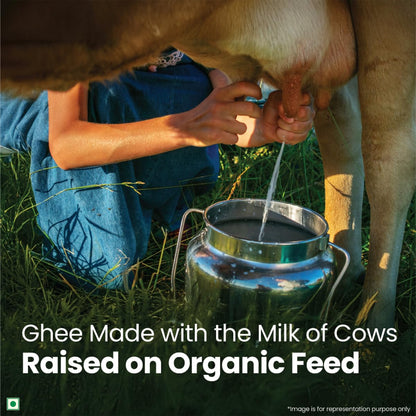 Organic India Pure Cow Ghee, 500ml, Lab Tested on 600+ Parameters, Certified Organic, Glass Bottle, Sourced from Organically Fed Cows, Authentic Taste, Rich in Healthy Fat