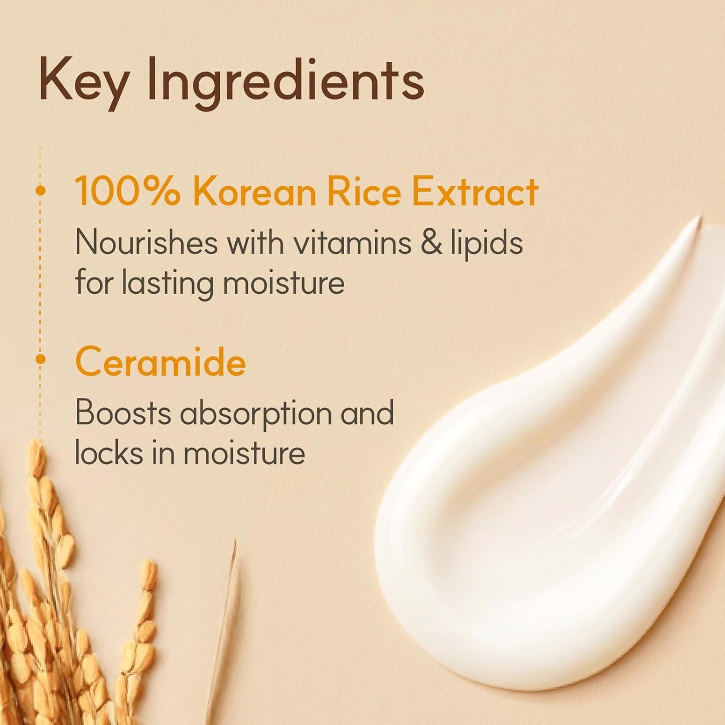The Face Shop Rice & Ceramide Moisturizing Cream with Rice Extracts for Skin Brightening | Ceramide Moisturizer For Skin Barrier Repair | Paraben & Paraffins Free, Korean skin care products, 50ml