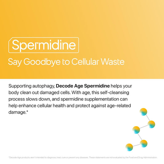 Decode Age Spermidine Supplement â€“ 99% Pure Spermidine Trihydrochloride for Autophagy, Longevity, Cellular Health, Energy & Skin Support â€“ Third-Party Tested, 2 Month Supply