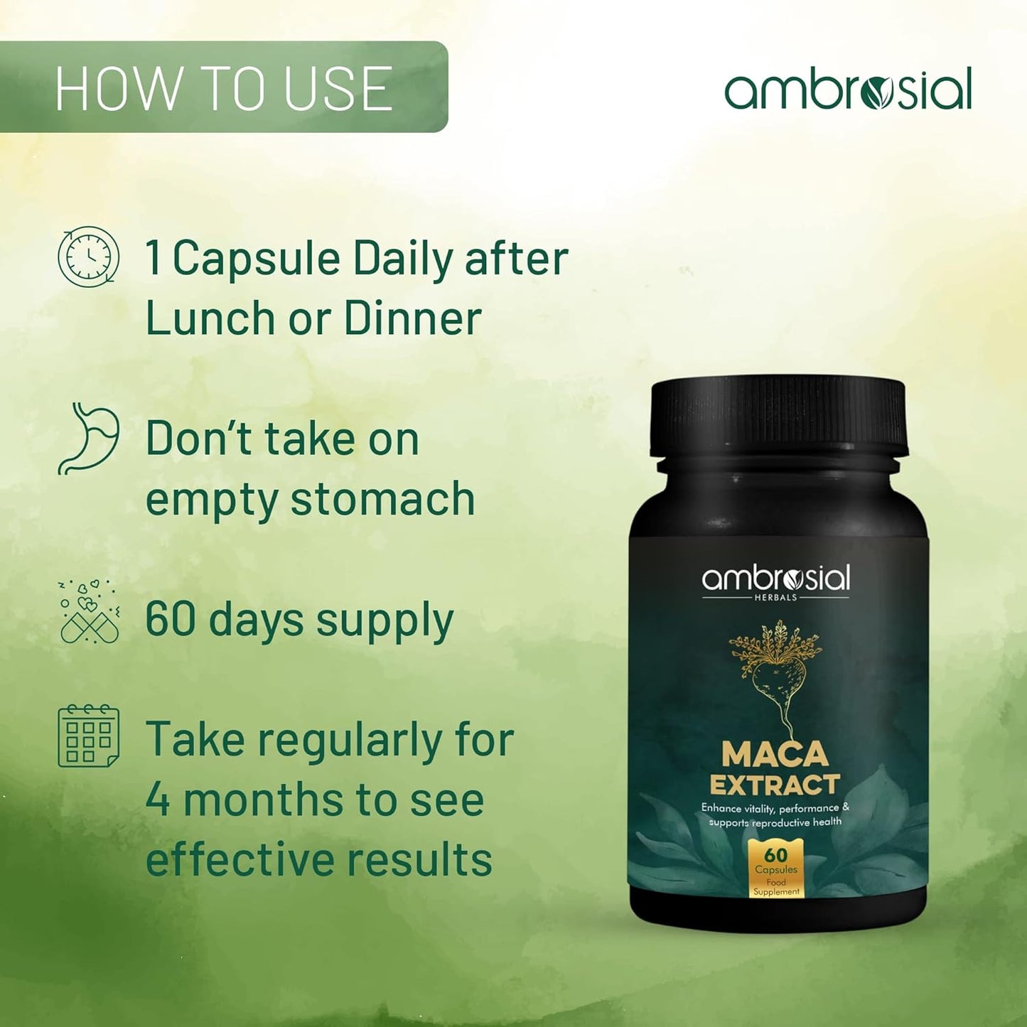 Ambrosial Maca Root Capsules for Men & Women | High Strength 500 mg Maca Root Powder EACH Capsule | Supports Building Stamina & Energy (Pack of 1-60 Capsules)