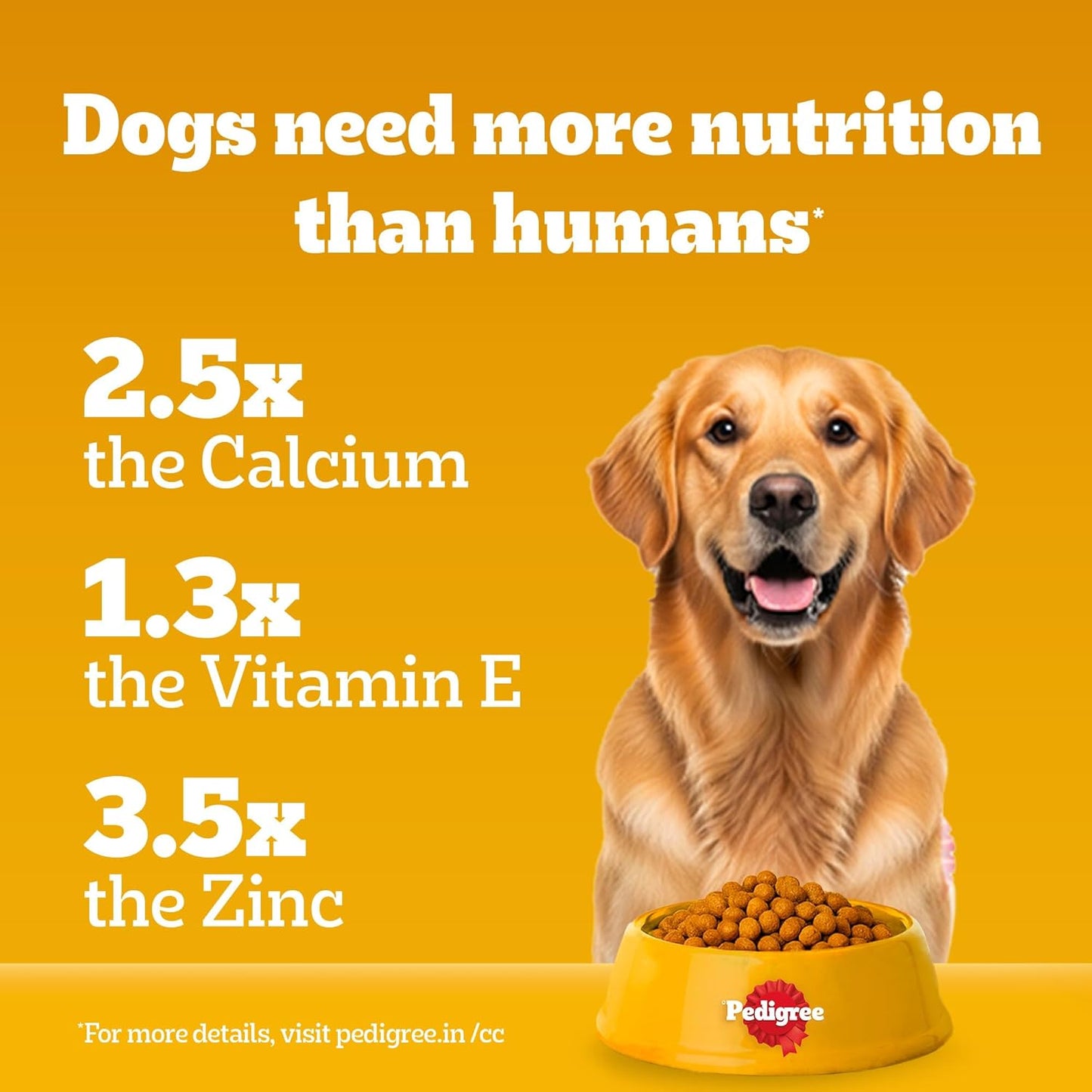 Pedigree Adult Dry Dog Food, Meat & Rice, 1 kg, Contains 37 Essential Nutrients, 100% Complete & Balanced Food for Adult Dogs