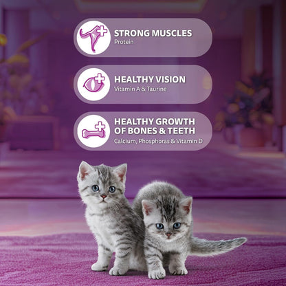 Whiskas Junior Mother Cat & Kitten (2-12 Months) Dry Cat Food, Ocean Fish Flavour, 1.1 kg, Contains 41 Essential Nutrients, Complete & Balanced Nutrition for Mother Cats & Kittens