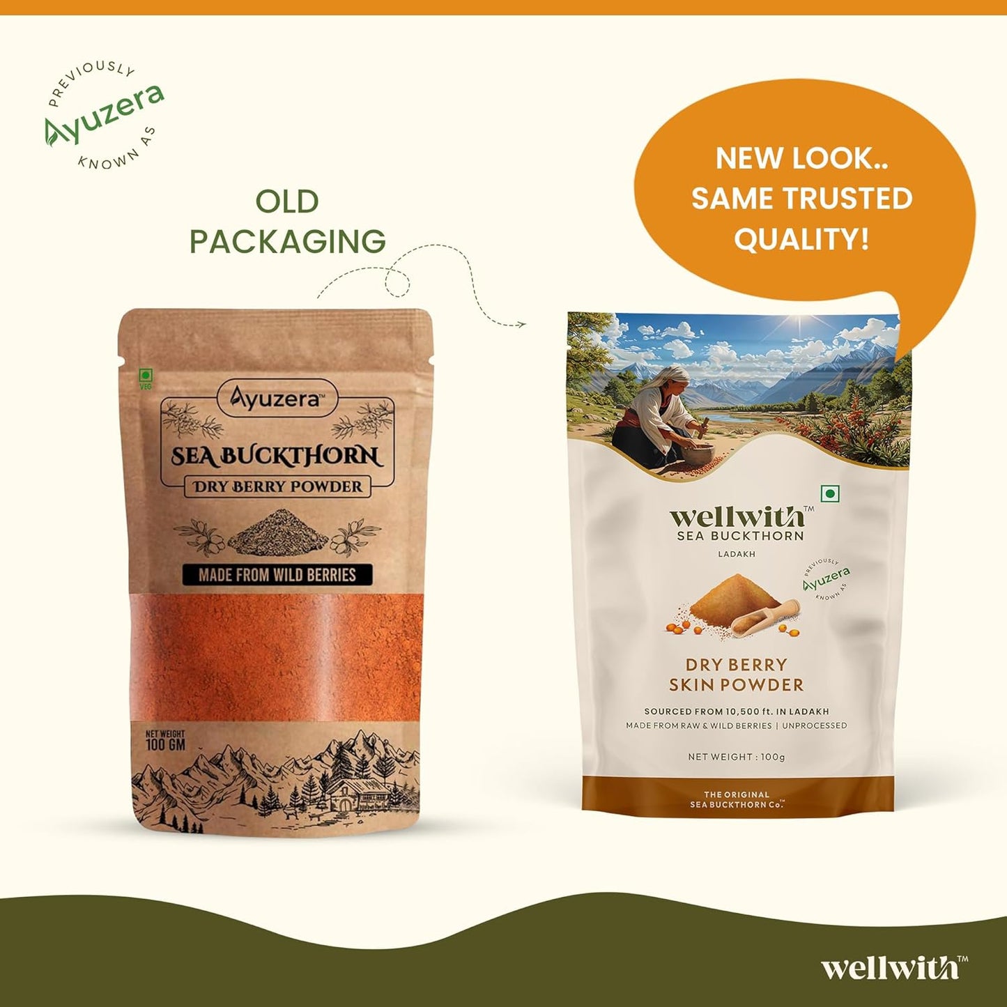 Wellwith Himalayan Sea Buckthorn Dry Berry Kkin Powder, 100g | Rich in Omega 3, 6, 7, 9 | Collagen, Fiber, Omegas, Vitamin C, Vitamin E | Dry Sea Buckthorn Berry Powder (100, Grams)
