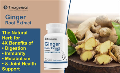 Trexgenics GINGER (Bioactive 5% Gingerol) 550 mg Standardized for Digestive Health, Immunity, Metabolic Profile, Immunity Support (60 Vcaps) (1)