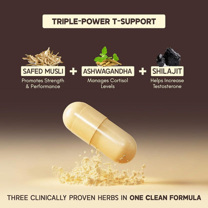 Rasayanam T-Charge Capsules (500mg) | 3-in-1 T - Levels Supplement for Men with Shilajit, Ashwagandha & Safed Musli | Supports Muscle Growth, Energy, Strength, Stamina & Performance - 60 Capsules