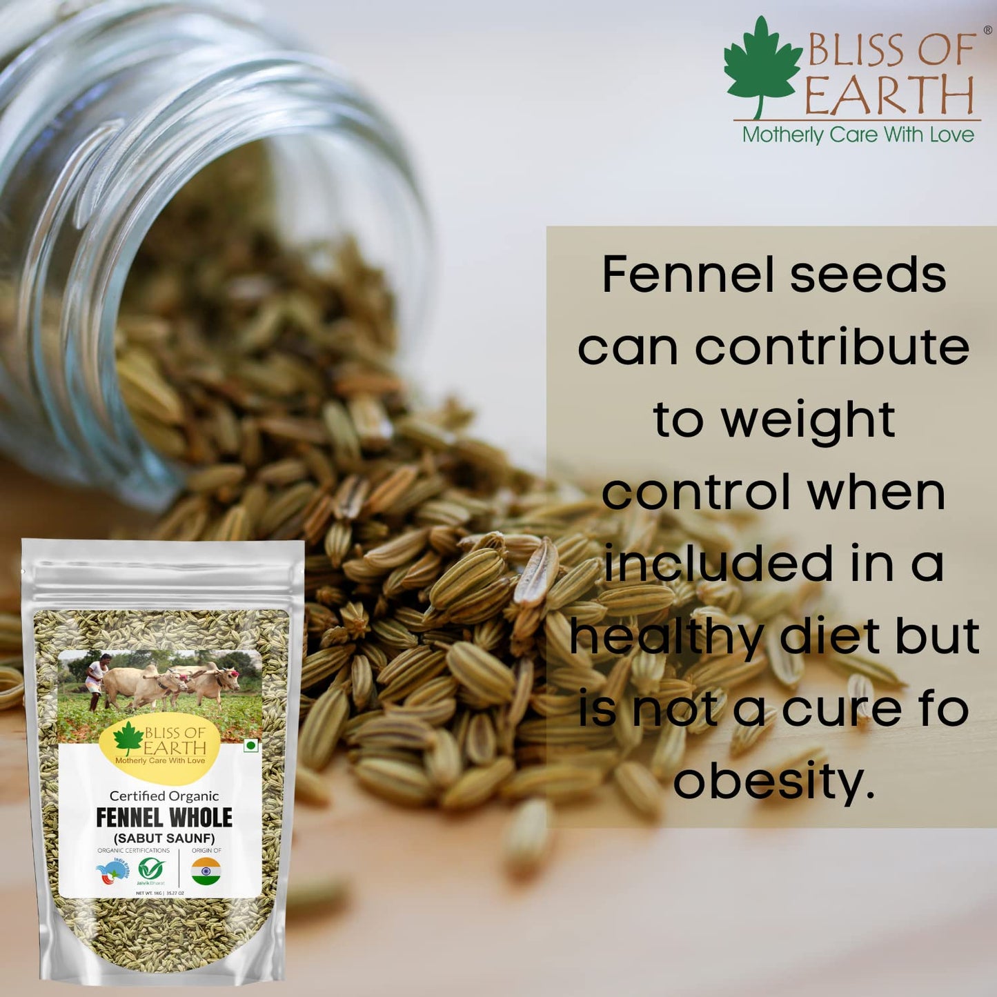 Bliss of Earth Organic Whole Fennel Seed 400gm
