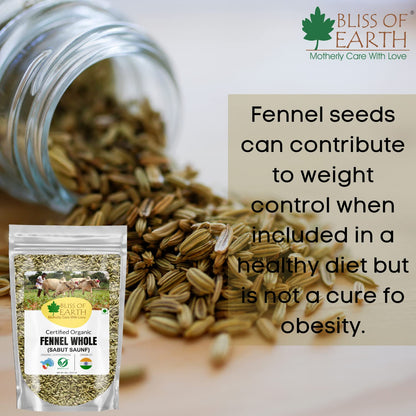 Bliss of Earth Certified Organic Fennel seed (Saunf) Indian Spice Fresh & Sweet Great for Weight loss | digestive health or Cooking (500gm)