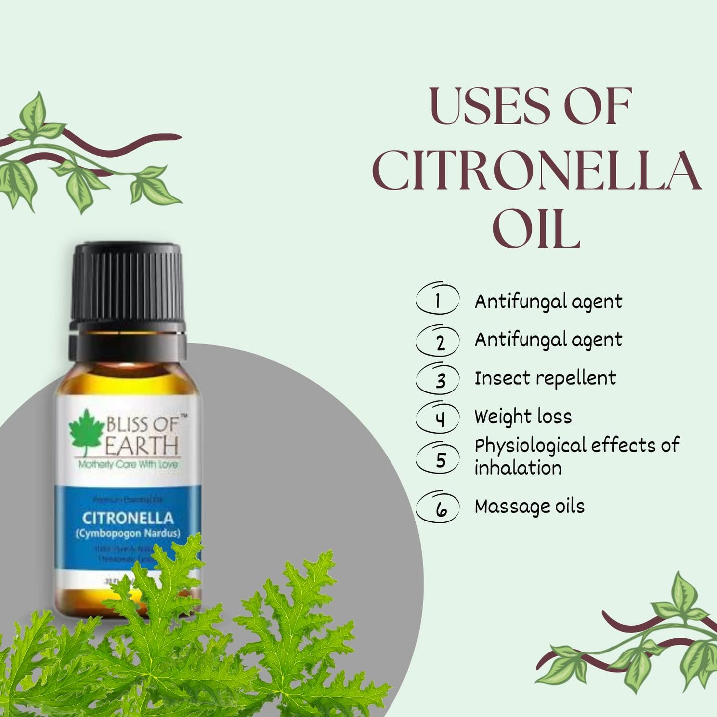 Bliss of Earthï¿½ 100% Pure Citronella Essential Oil, 10ml
