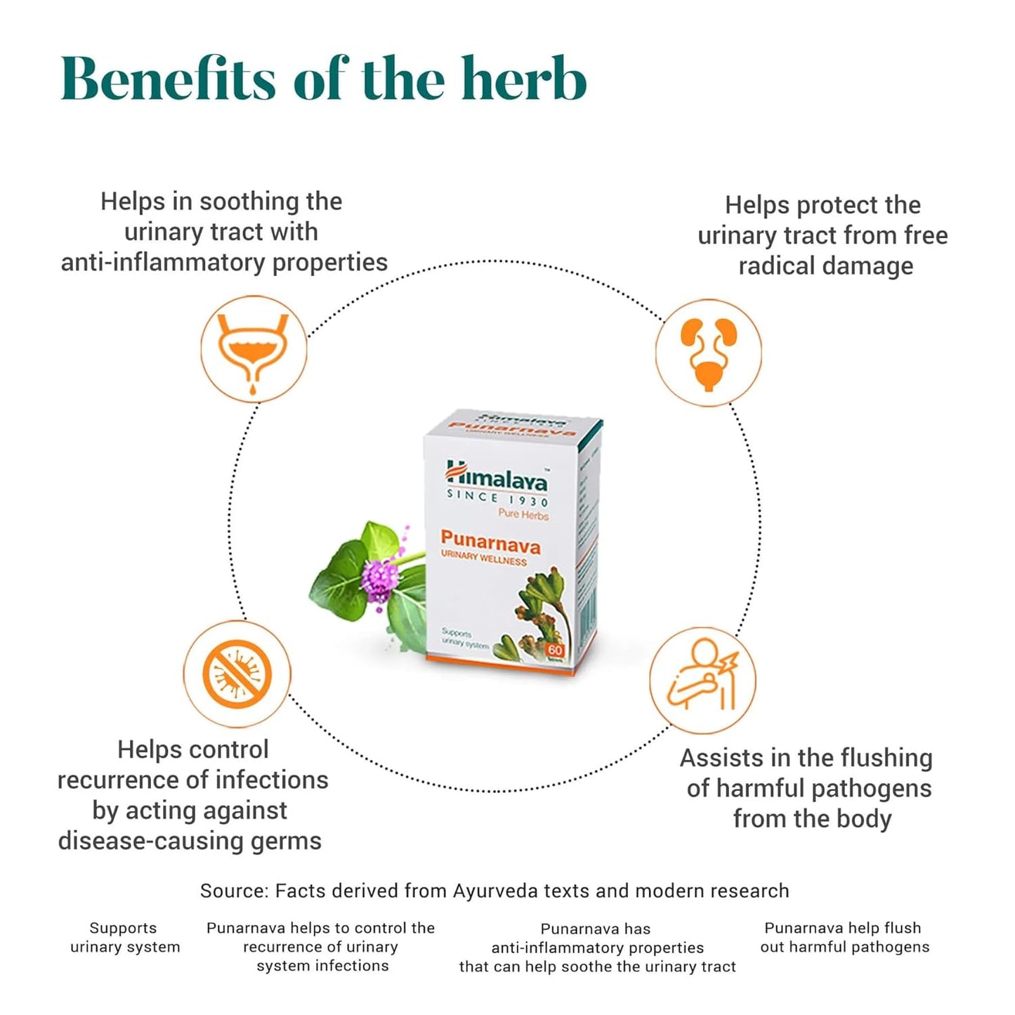Himalaya Punarnava Tablets - 60 count (Pack of 1)