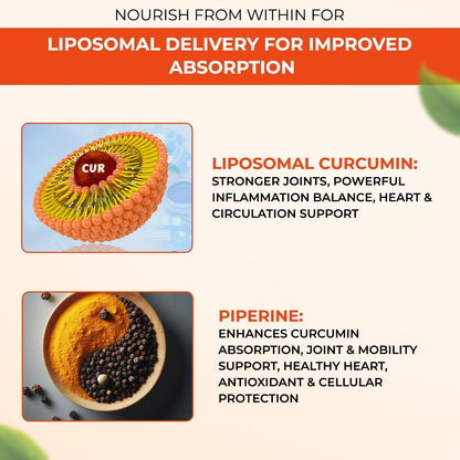 The Body Reserve Liposomal Curcumin Capsules, 500mg with Piperine, Anti-inflammatory Supplement for Adults Pure Turmeric Extract Supplement for High Absorption Joint & Heart Health Support for Adults â€“ 60 caps