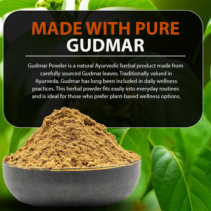 Gudmar Powder (100 g) - Herbal Powder | Pack of 1