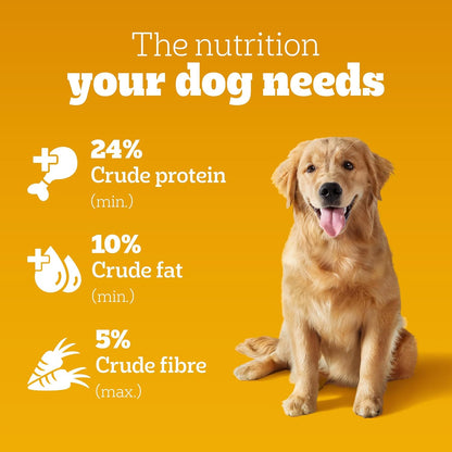 Pedigree Adult & Puppy Dry Dog Food, 100% Vegetarian, 1 kg, Contains 37 Essential Nutrients, 100% Complete & Balanced Food for Adult Dogs