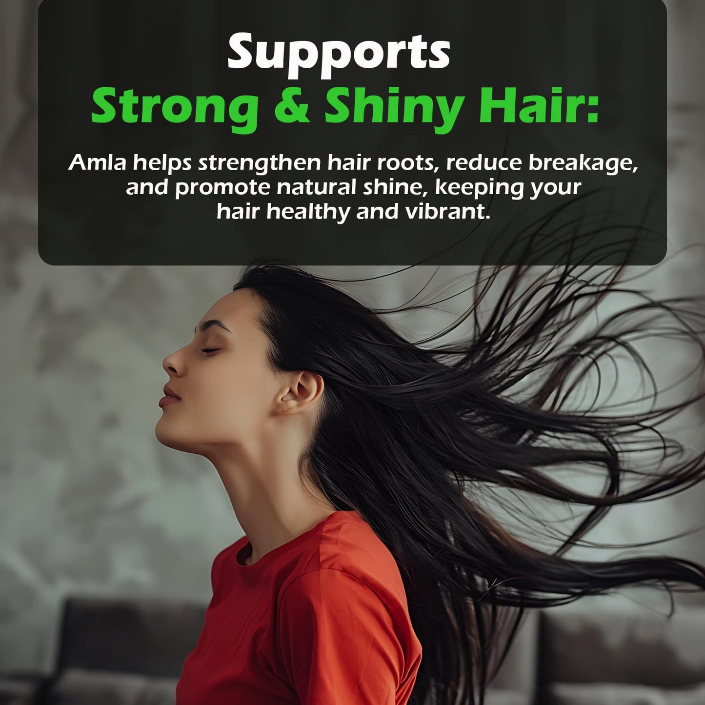 Amla Capsules 60_ Organic Hair Growth & Vitamin C Herbal Supplement Antioxidant Immunity Enhancer Natural Source of Vitamin C (Pack of 1)