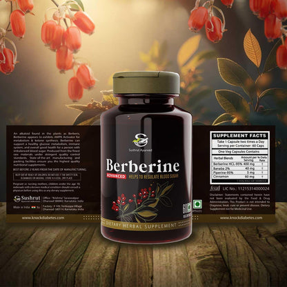 Berberine Advanced 500mg Capsules for Glucose Balance, Optimal Metabolism & Weight Management â€“ Plant-Based Formula with Banaba, Piperine & Cinnamon Extracts [Vegan Friendly] (Pack of 1 - 60 Capsules Each)